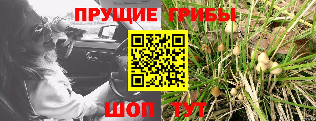 Псилоцибиновые грибы ЛСД Майский